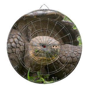 Cible De Fléchettes Tortue géante