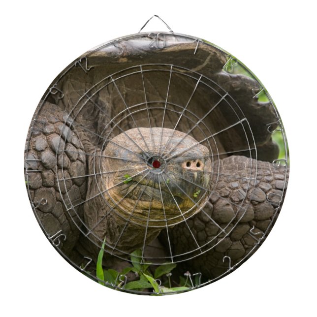 Cible De Fléchettes Tortue géante (Devant)