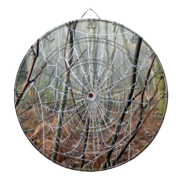 Cible De Fléchettes Web de l'araignée de jardin européen Dartboard (Devant)