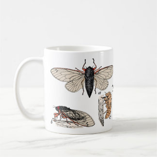 Cicadas Double Brood 2024 Mug