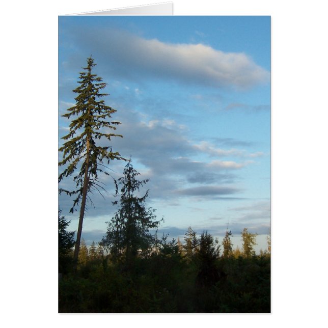 Ciel bleu calme (Devant)