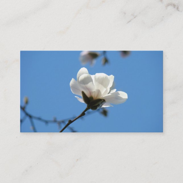 Ciel bleu de magnolia de cartes de visite blancs (Devant)