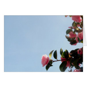 Ciel bleu fleur rose Camellia
