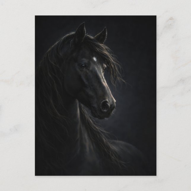 Ciel de minuit | Cheval Art | Carte postale (Devant)