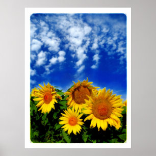 Ciel et fleur, affiche