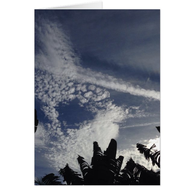 Ciel Intéressant (Devant)