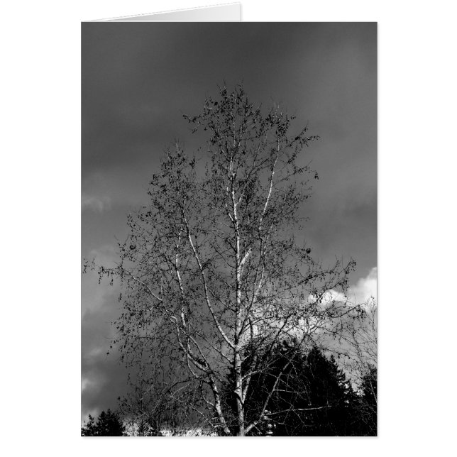 Ciels orageux (Devant)