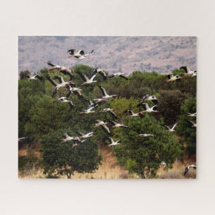 Cigognes volantes, Puzzle