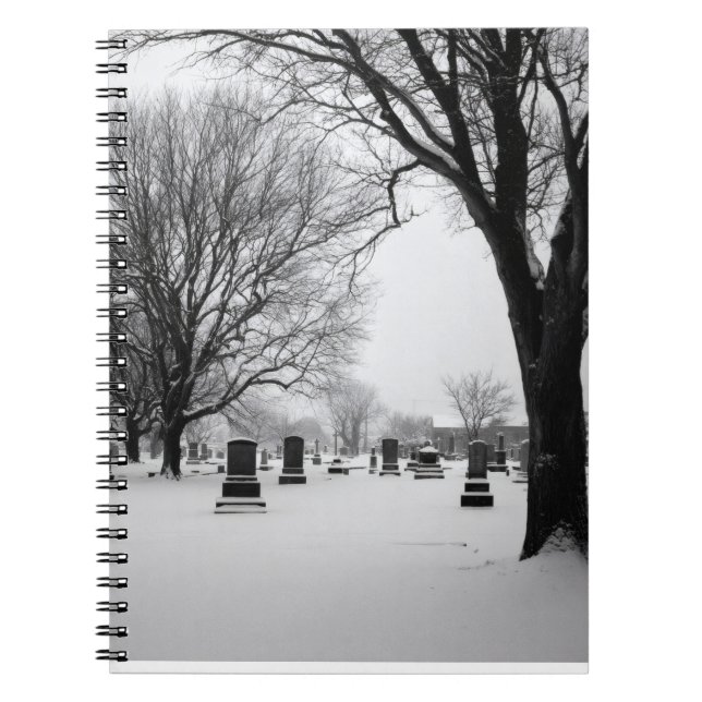Cimetière Neige Carnet d'humidité (Devant)