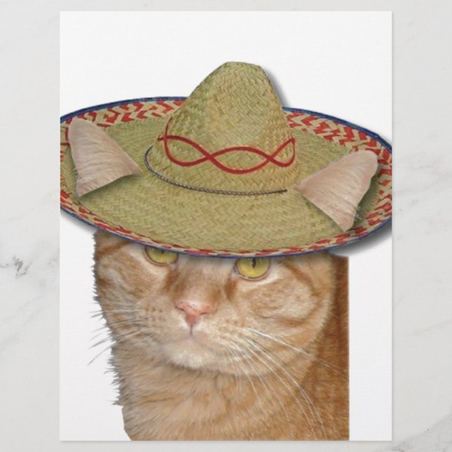 Cinco de Gato (Devant)