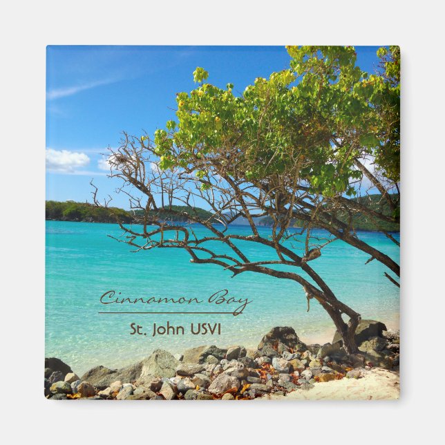 Cinnamon Bay St. John USVI Magnets (Devant)