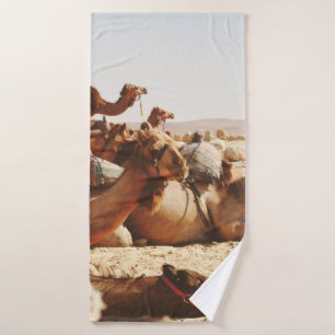 CINQ CAMELS SUR LE TERRAIN