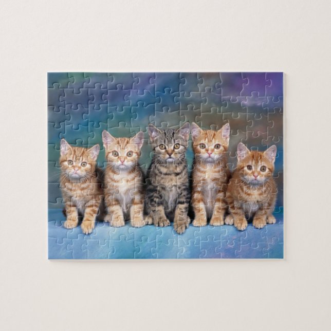 Cinq chatons dans un puzzle de rangée (Horizontal)