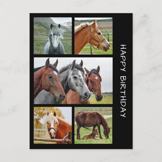 Cinq cheval photo collage d'anniversaire carte pos (Devant)