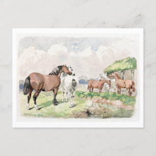 Cinq chevaux près d'une carte postale de peinture