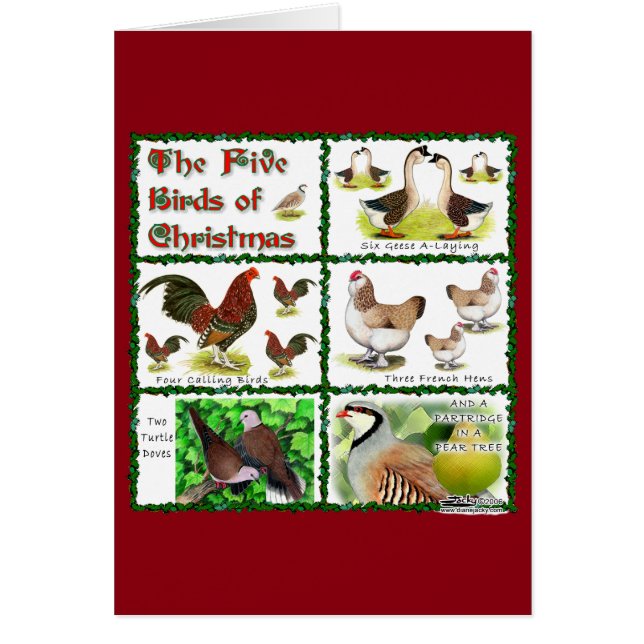 Cinq oiseaux de Noël (Devant)