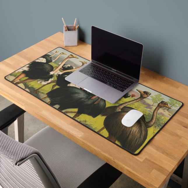 Cirque vintage Montrant Des Ostriches Et De Grands (Bureau 2)