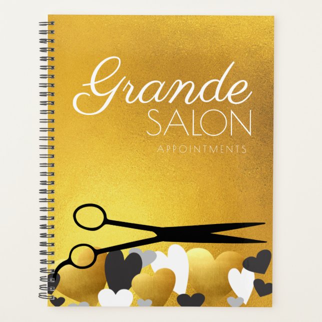 Ciseaux styliste cheveux faux salon d'or (Devant)