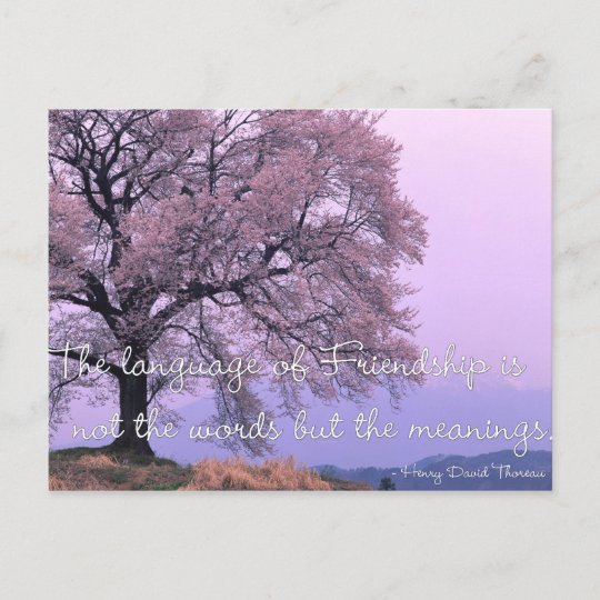 Citation D Amitie 1 Cartes Postales De Cerisier Zazzle Fr