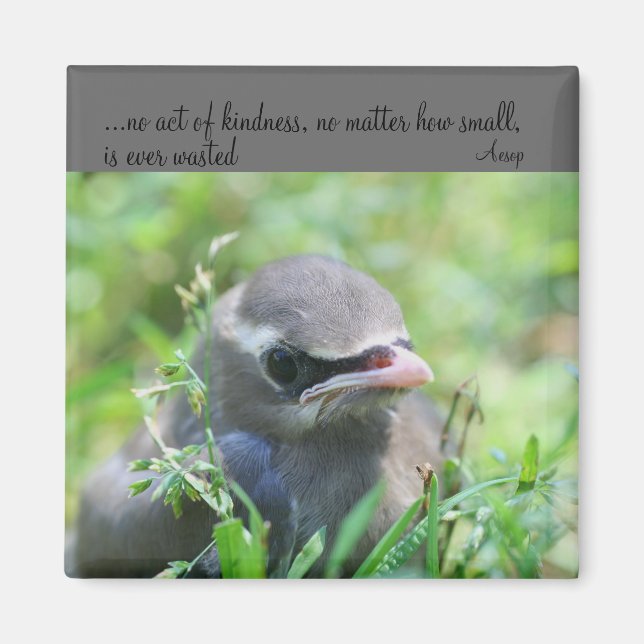 Citation de bonté pour bébé oiseau Magnet inspiran (Devant)