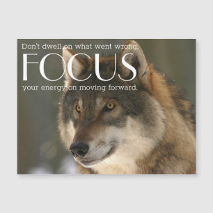 Citation de focus sur Wolf Image Magnet inspiratio