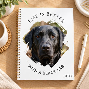 citation de Labrador noir photo 2027