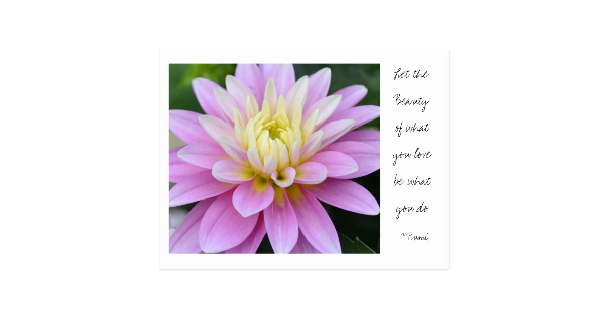 Citation De Rumi De Carte Postale De Dahlia De Zazzle Fr