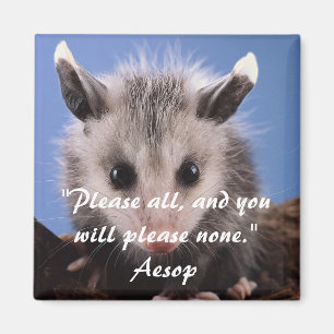 Citation d'esop et aimant d'opossum adorable