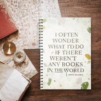 Citation du livre par James Baldwin