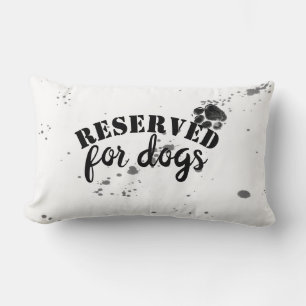 citation humoristique de chien lancer oreiller noi