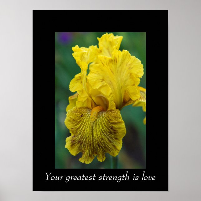 Citation Inspiration Iris Poster Fleur (Devant)