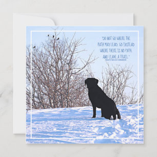 Citation motivationnelle - Citation de vie inspira