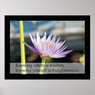 Citations de santé naturelle et message Poster Lao