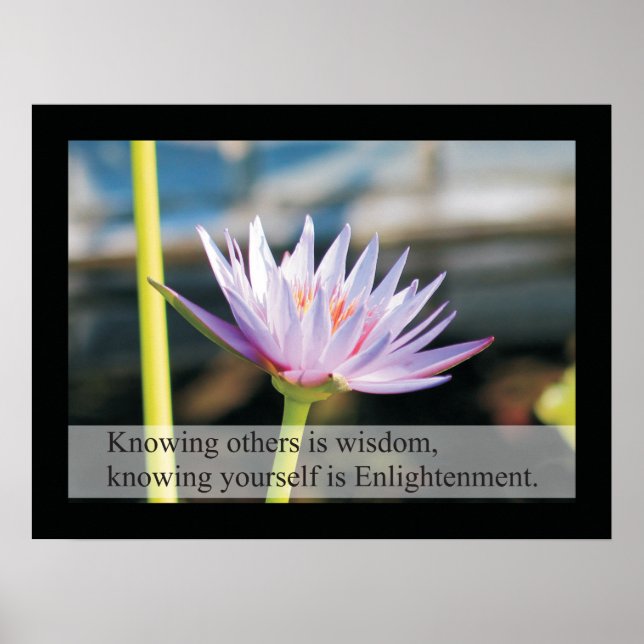 Citations de santé naturelle et message Poster Lao (Devant)