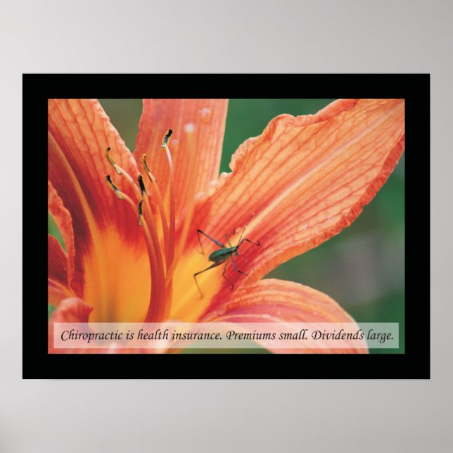 Citations et déclarations de chiropratique Poster  (Devant)