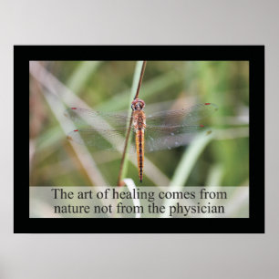 Citations et déclarations de chiropratique Poster 