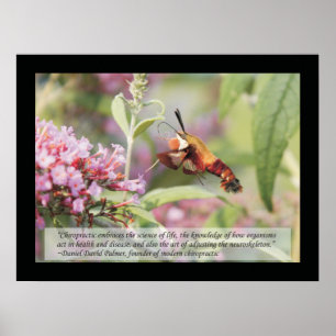 Citations et déclarations de chiropratique Poster 