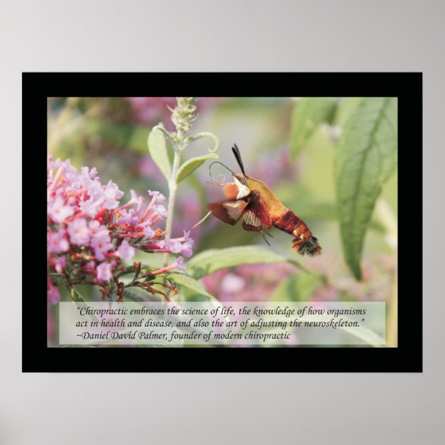 Citations et déclarations de chiropratique Poster  (Devant)