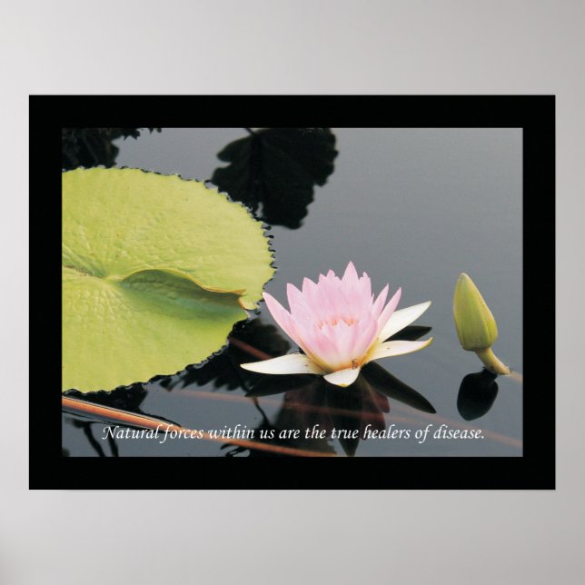 Citations et déclarations de chiropratique Poster  (Devant)