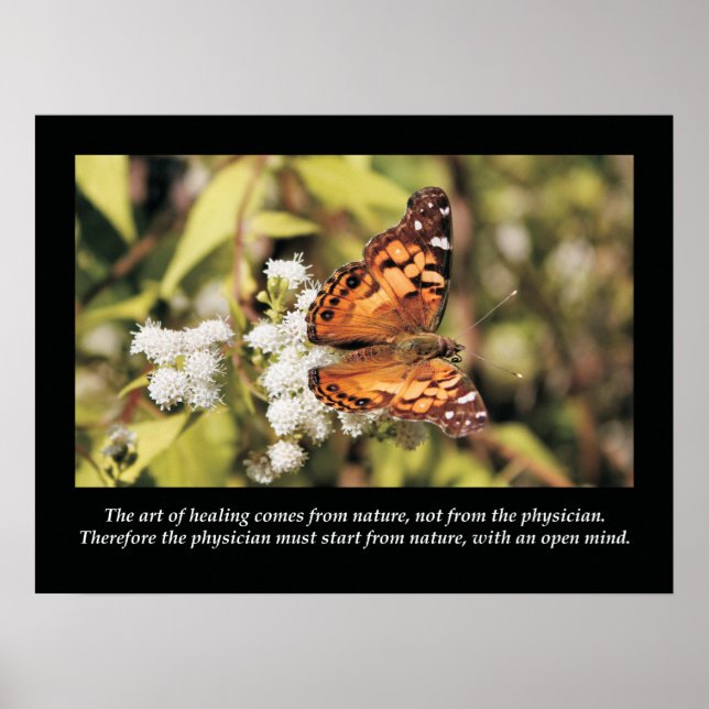 Citations et déclarations de chiropratique Poster  (Devant)