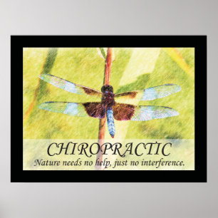 Citations et déclarations de chiropratique Poster 