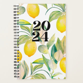 Citron 2024