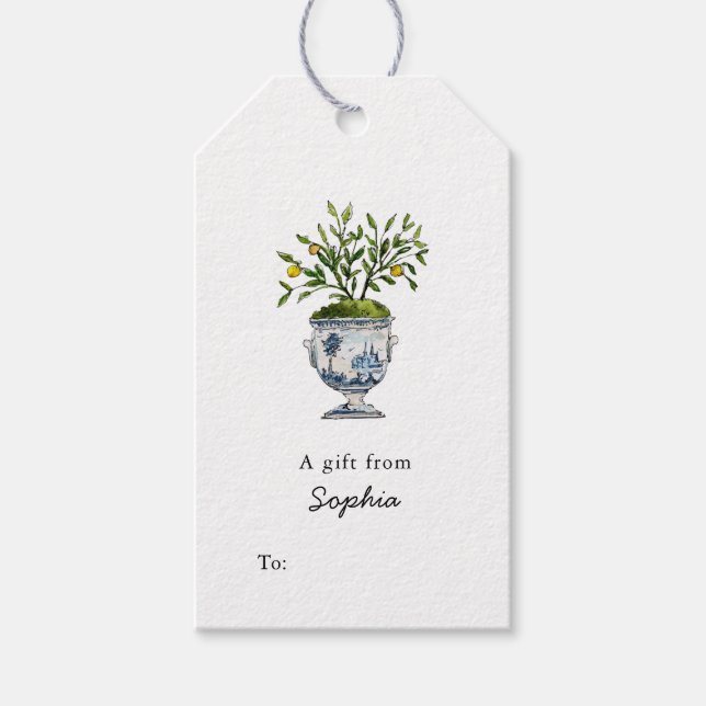 Citron topiaire en pot bleu et blanc étiquettes ca (Devant)