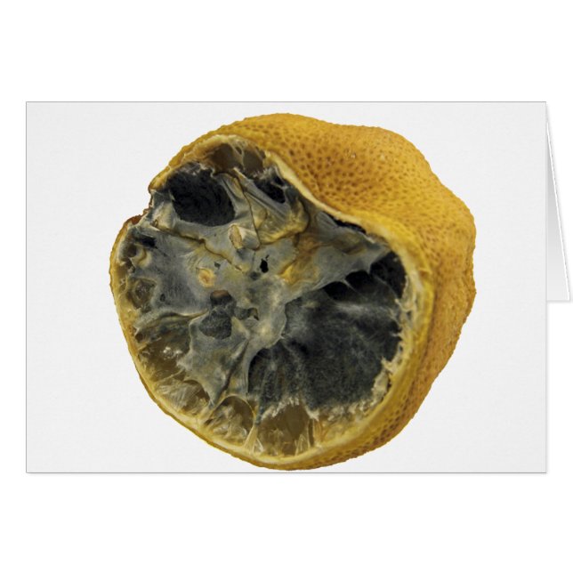 Citron vert (Devant horizontal)