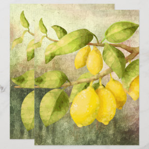 Citrons sur une branche