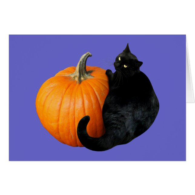 Citrouille de chat noir (Devant horizontal)