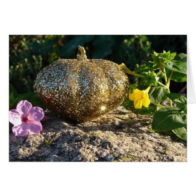 Citrouille or et fleurs à quatre heures (Devant horizontal)