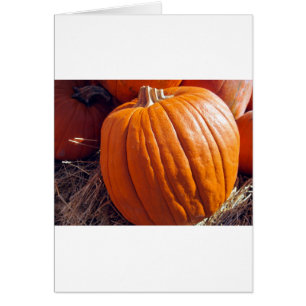 Citrouille orange