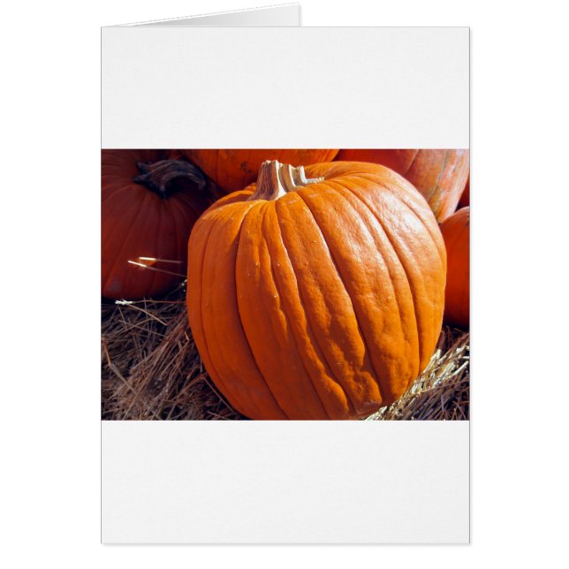 Citrouille orange (Devant)