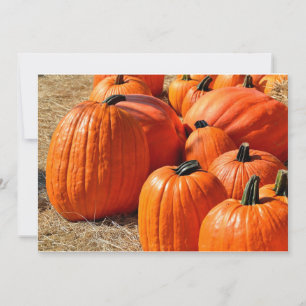 citrouilles à vendre